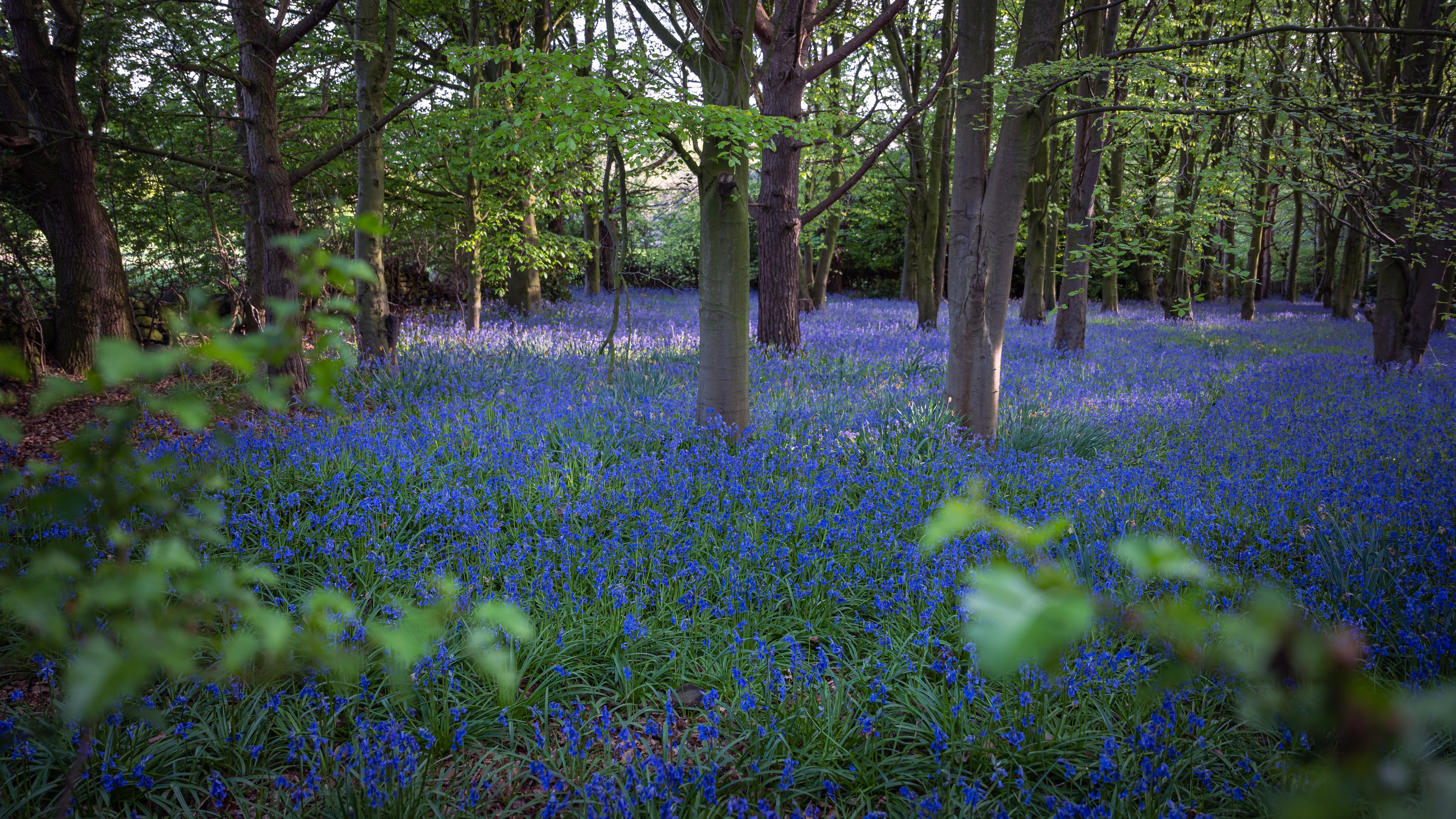 Landscapes and Cityscapes 7