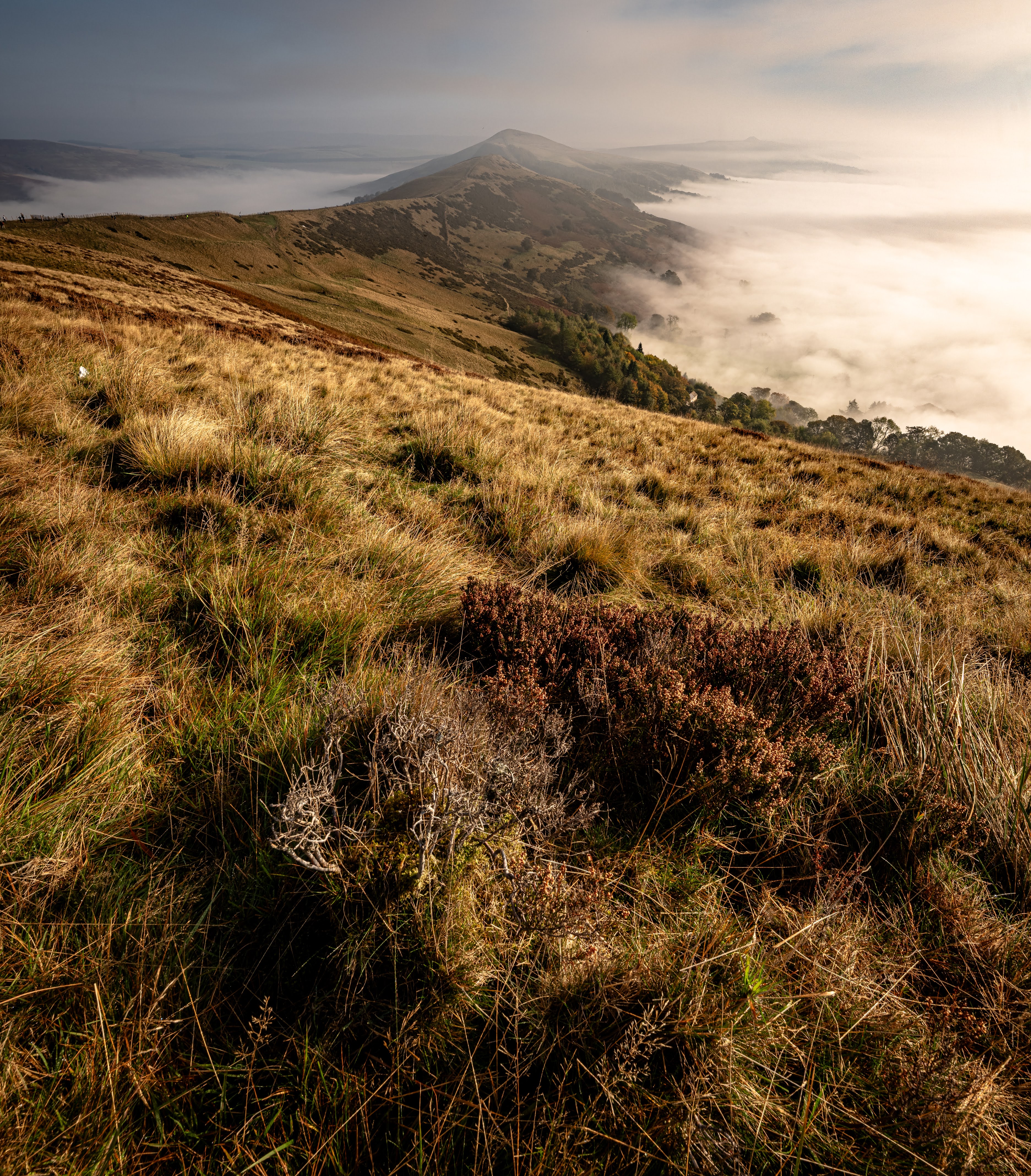 Landscapes and Cityscapes 37