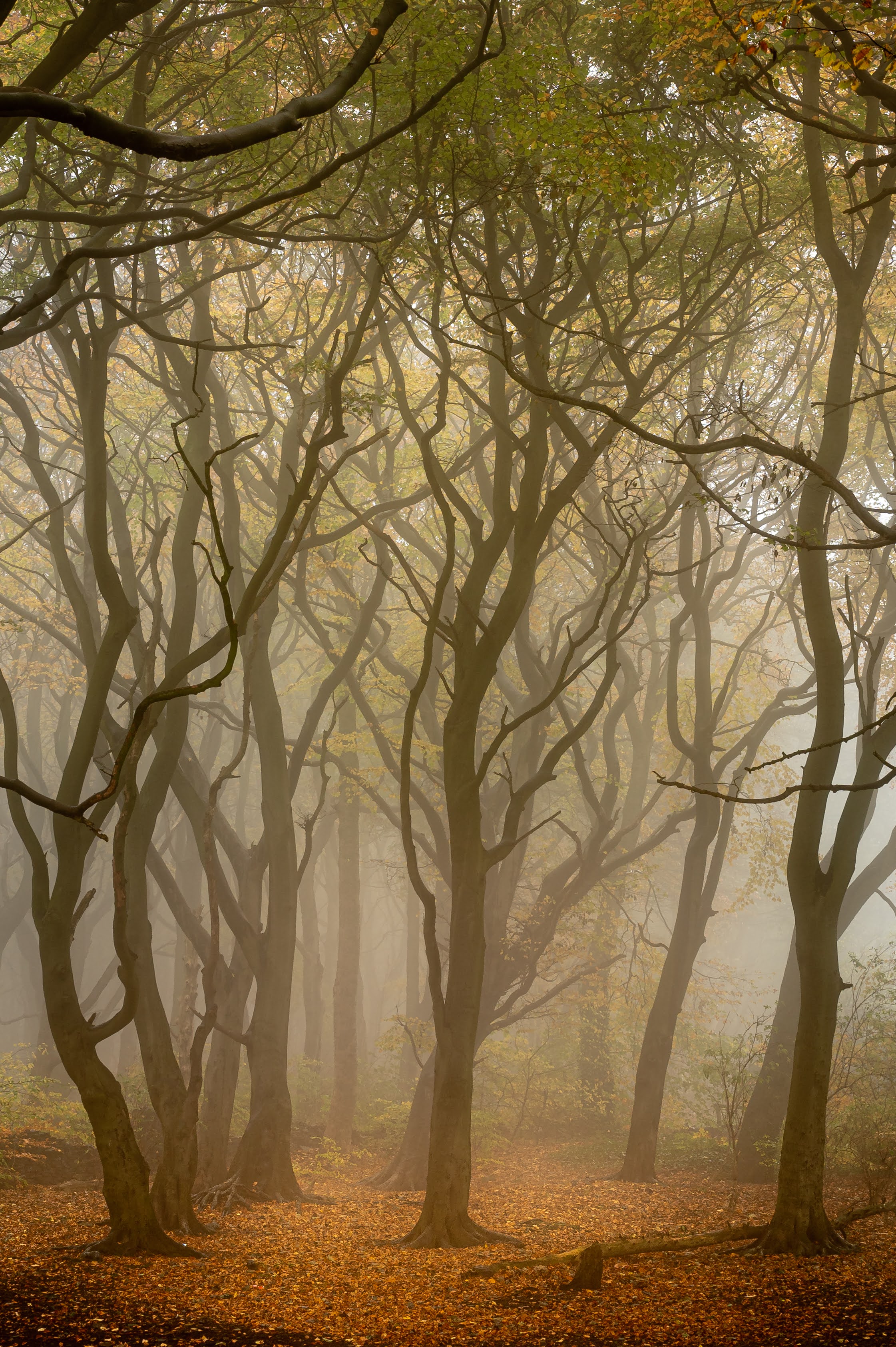 Landscapes and Cityscapes 31